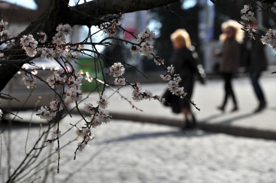 Погода в Хабаровске на 5 мая 2019 года: днем до +20, дождь