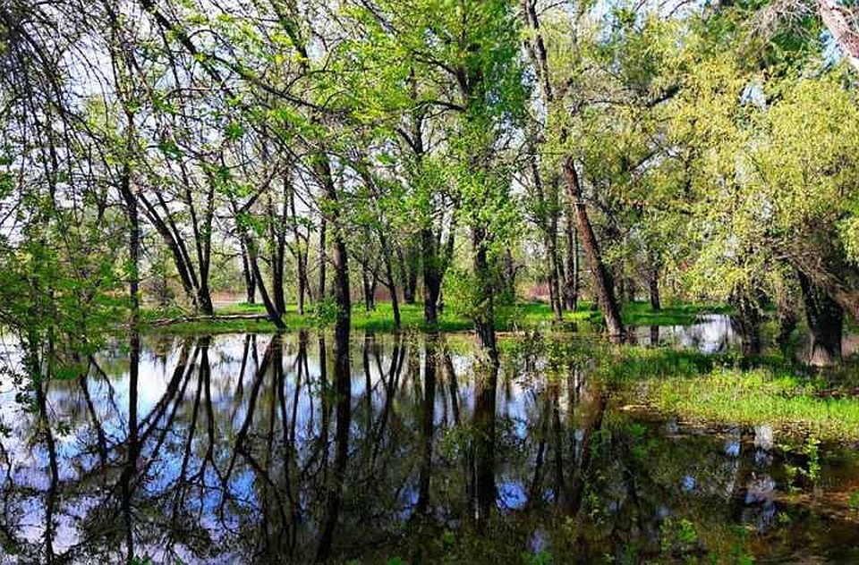 Москвичи легли спать и не проснулись.