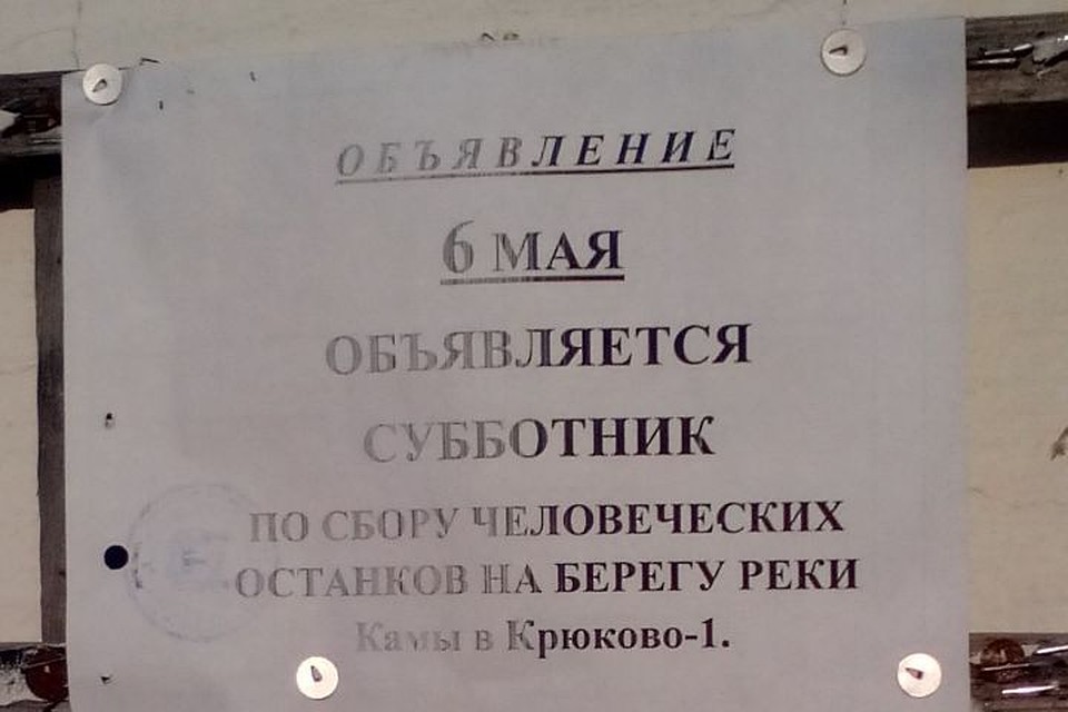 Вот такое объявление появилось в селе Крюково. Фото: портал Pikabu.
