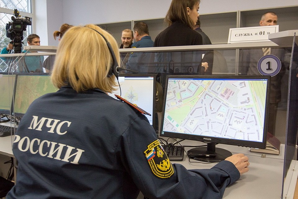 В Псковской области саперы МЧС обезвредили три снаряда и две минометные мины. Фото: АПО