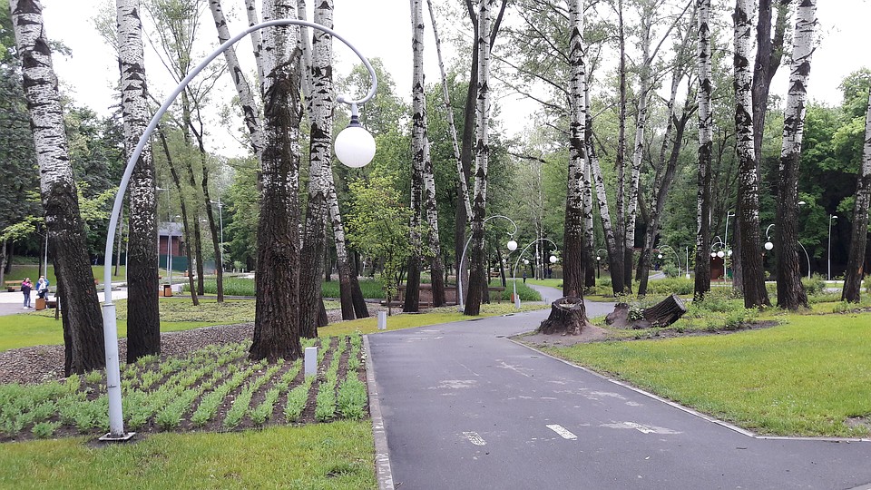 Воронежцы смогут гулять по парку, не боясь комаров