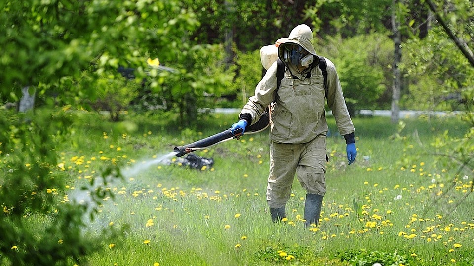 фото мэрии Воронежа