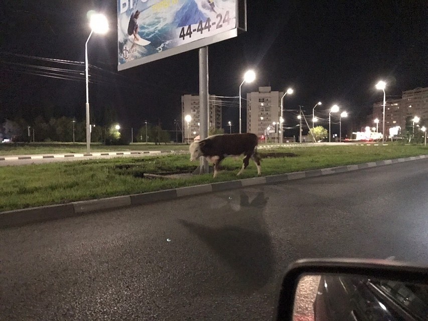 Фото соцсетей