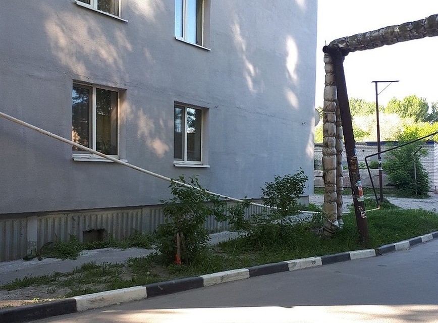 Фото из соцсетей