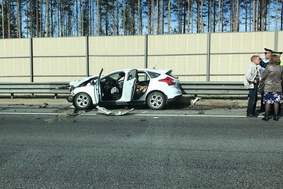 В аварии погиб мужчина Фото: ДТП и ЧП Петербурга