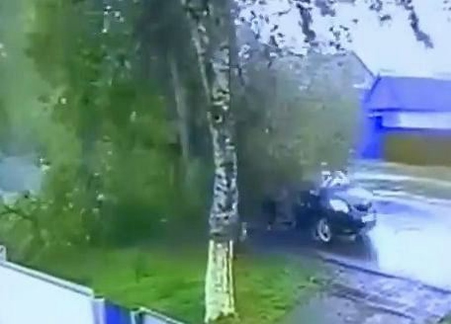 Дерево упало возле машины. Фото:стоп-кадр видео