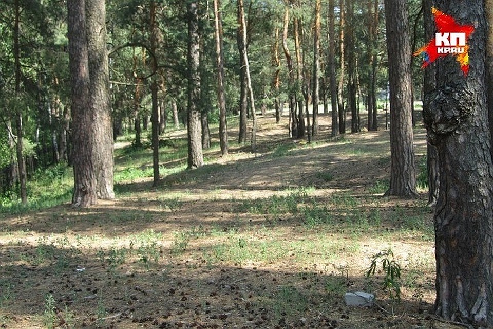 Уборка стартует в 11:00.