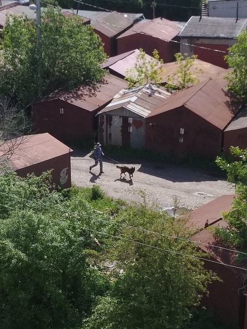 Полицейские в поисках