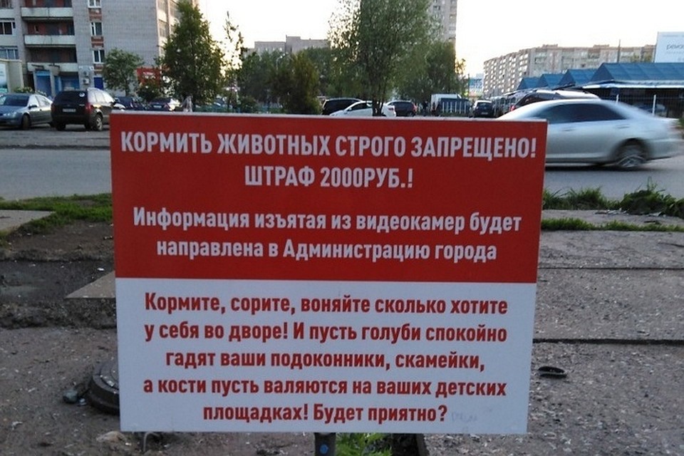 Источник фото: vk.com(ЗИ - ЗЛОЙ ИЖЕВЧАНИН | ИЖЕВСК)