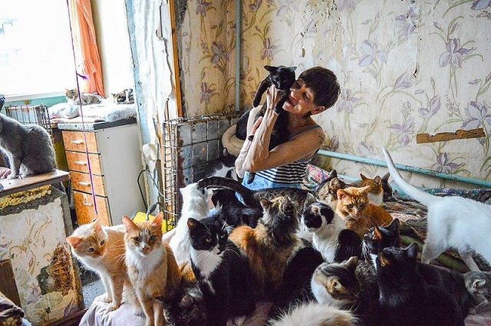 Кошки в квартире - это, говорят, к счастью! Фото: АиФ-Тюмень
