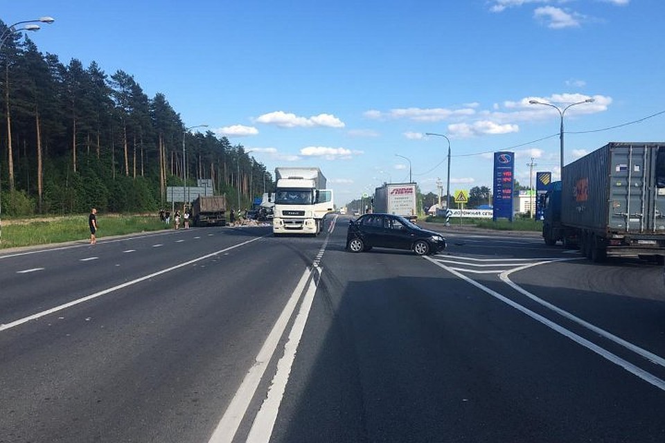 В аварии пострадал один человек Фото: УГИБДД РФ по Тверской области
