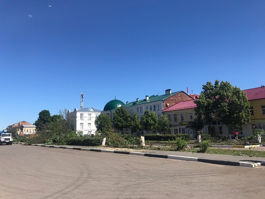 Специалисты выяснили, что то больше трети деревьев в сквере уже были ранее выпилены по причине их гибели