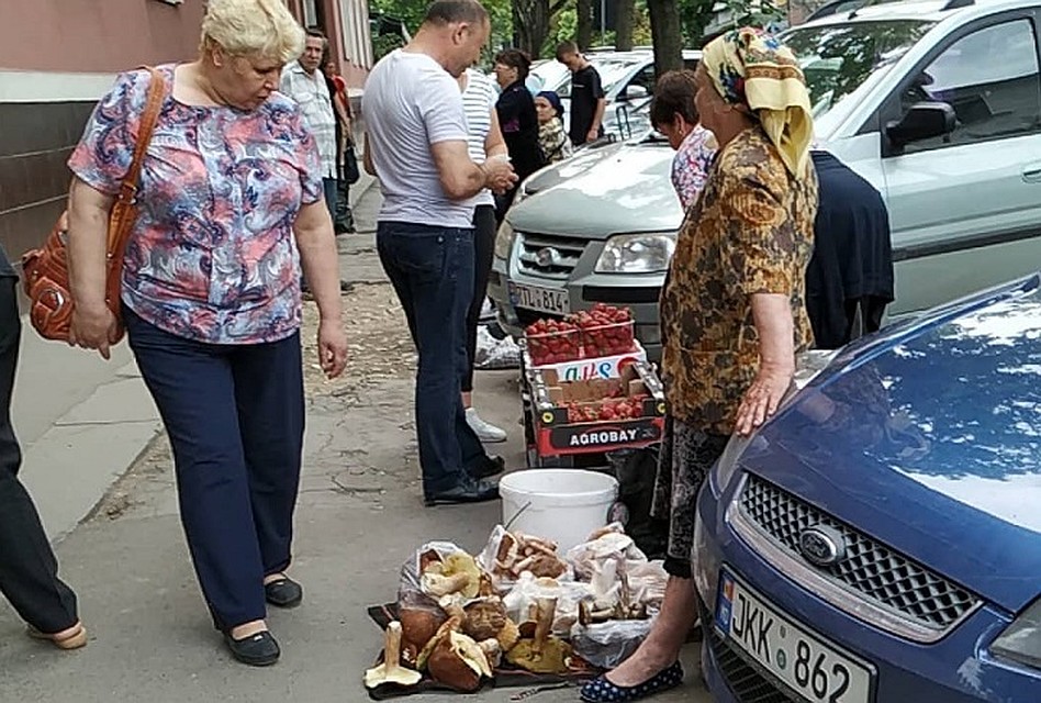 Продают грибы в Кишиневе прямо на тротуарах