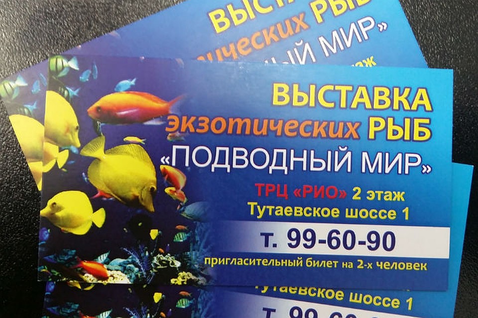 Разыгрываем билеты на выставку "Подводный мир".