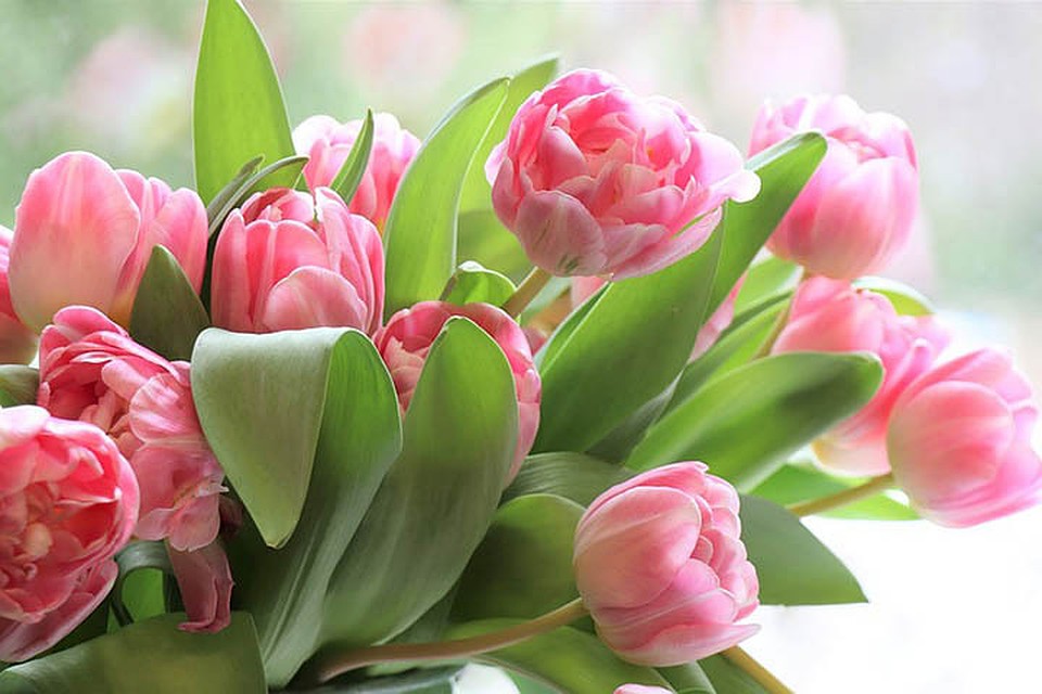 Фото: pixabay.com