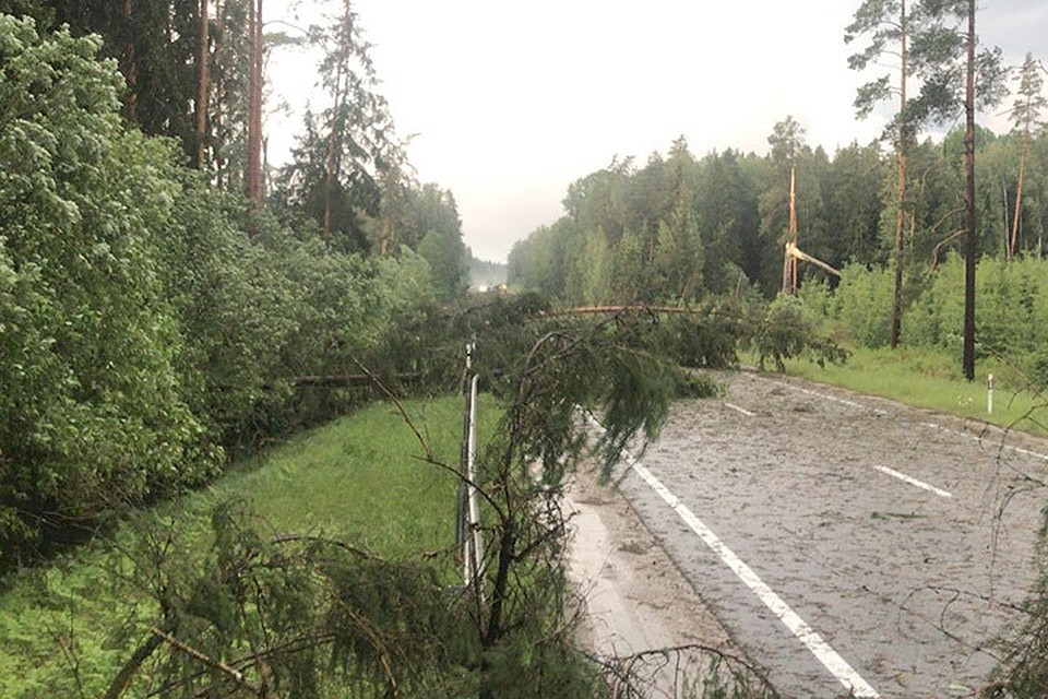 Латвия пострадала от разрушительной грозы. Фото: twitter.com