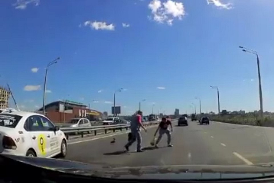 Фото: скриншот с видео