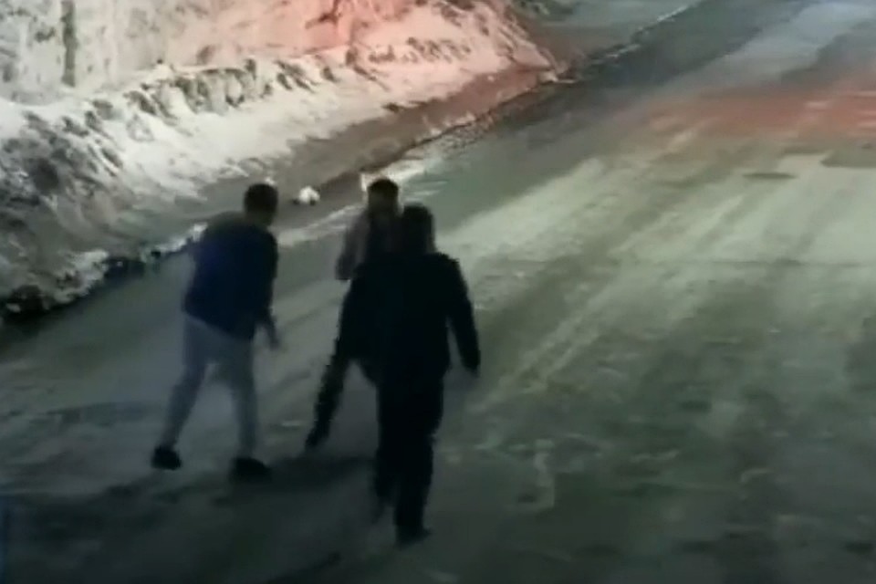 Фото: кадр видео камеры наблюдения