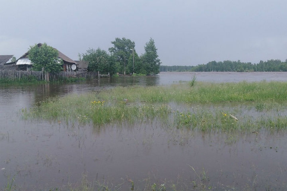 Так выглядит река Ия в Тулунском районе. Фото: группа "Подслушано Тулун"