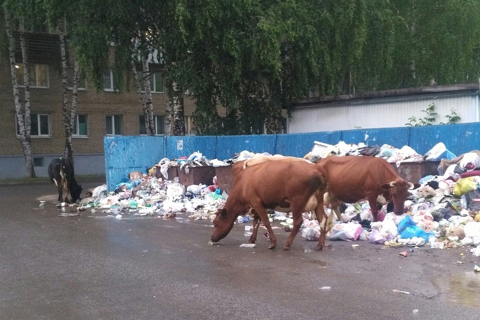 И такая картина на многих улицах города. Фото: группа во ВКонтакте «Гражданский патруль | Аша»