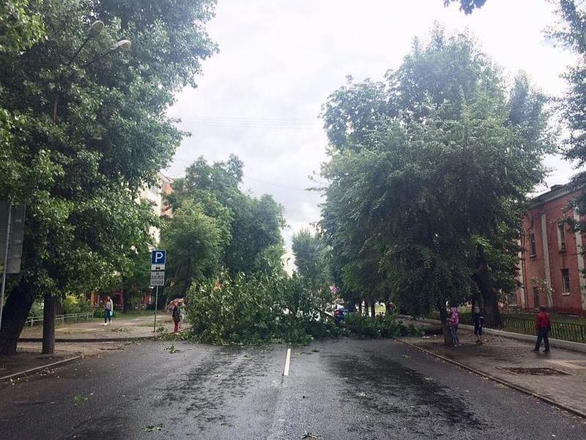 фото из сообщества Типичный Воронеж