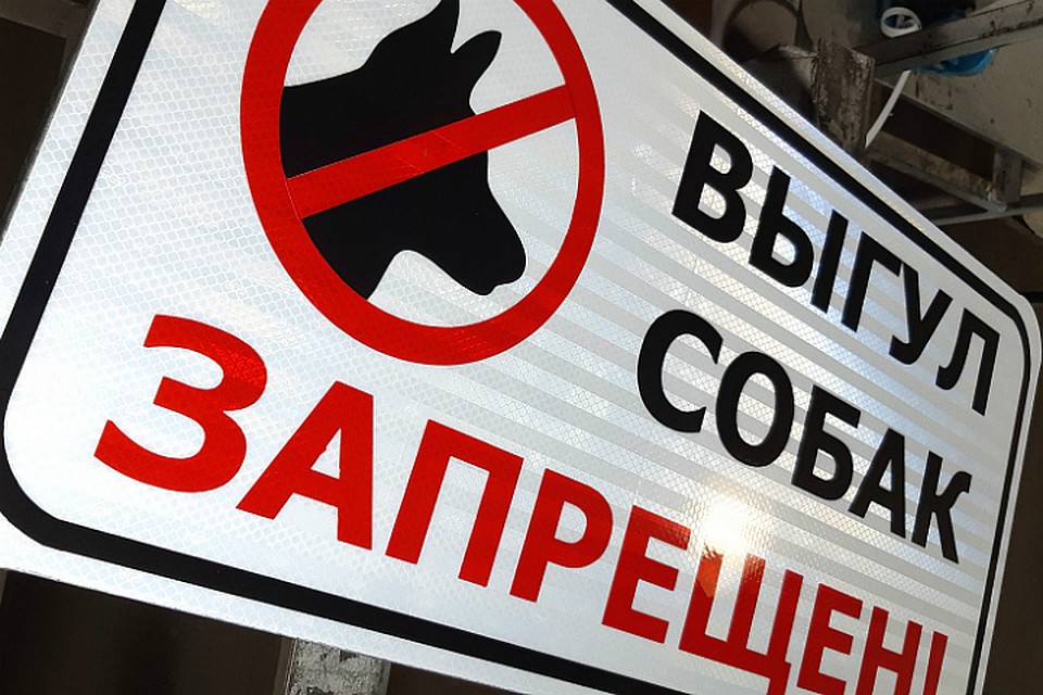 Табличками «Выгул собак запрещен» в Хабаровске отвадят хозяев питомцев от детских площадок