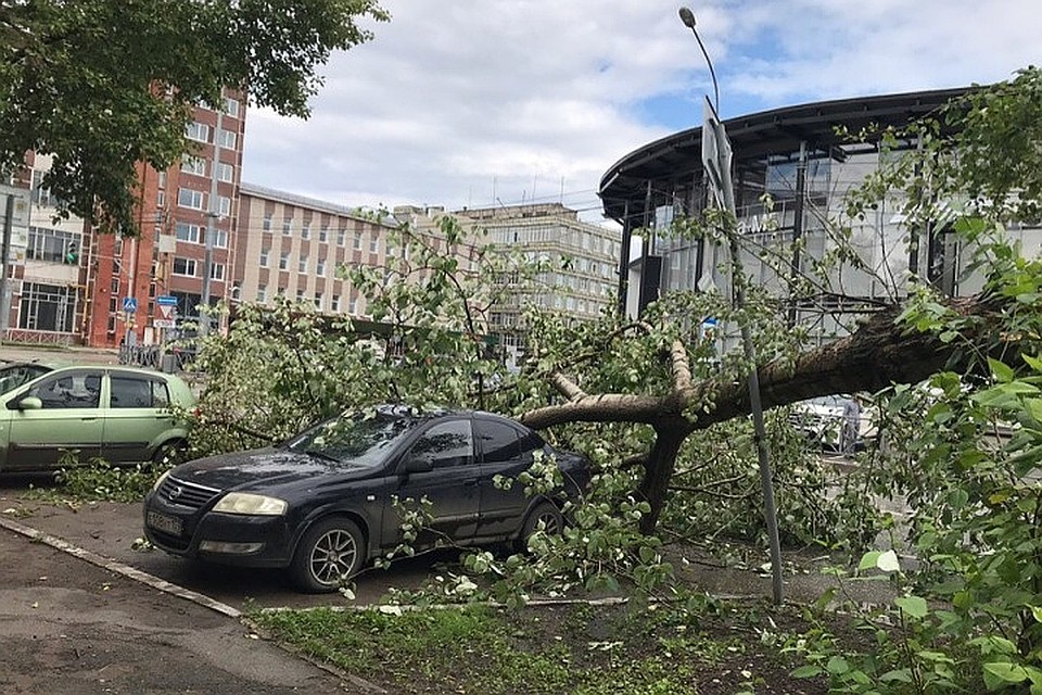 Фото: группа ВК "Подслушано Пермь".