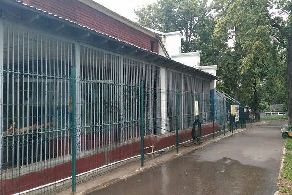 Зоопарк после урагана. Фото: Наталья Шушпанова.
