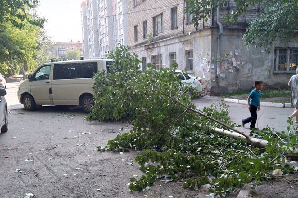 Тополь упал на машину. Фото: читатели «КП»