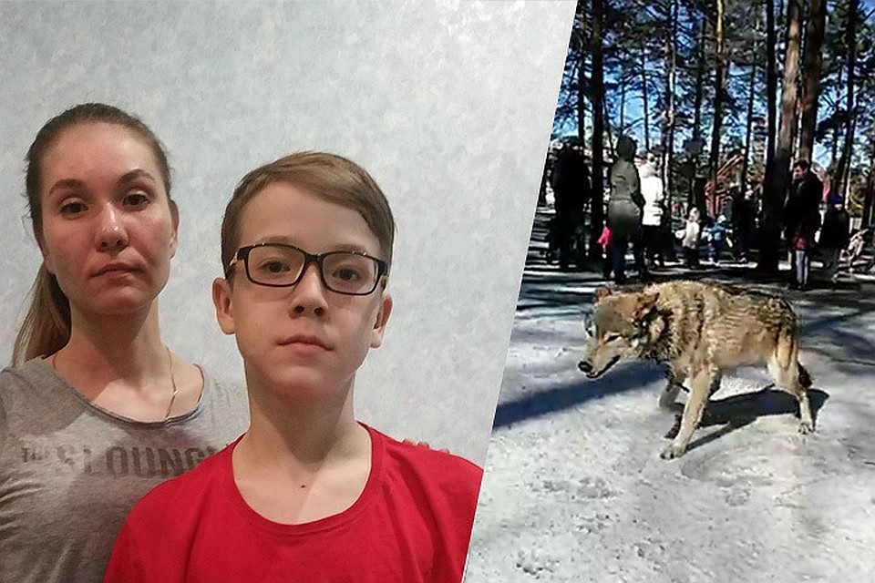 Слева: Дарья Фролова и ее сын Лев, фото из архива Фроловых. Справа: волк Воланд, кадр из видео Сергея Панасенко.