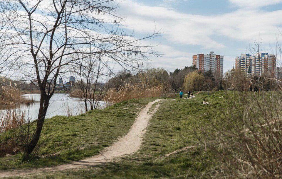 Народный парк в Краснодаре Фото: krd.ru