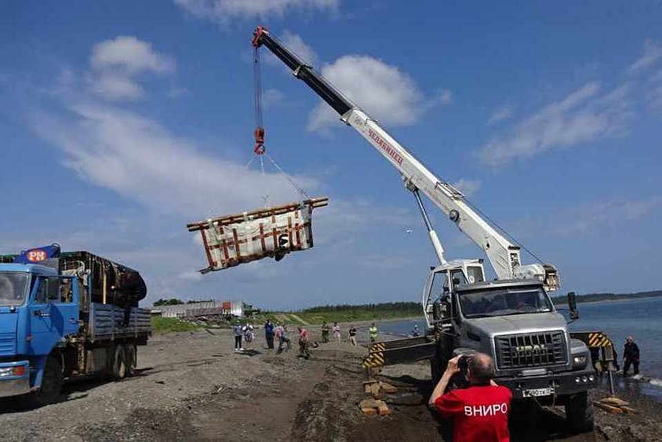 Везли косаток по тому же пути, что и первую партию освобожденных узников центра реадаптации мормлеков. Фото: ВНИРО