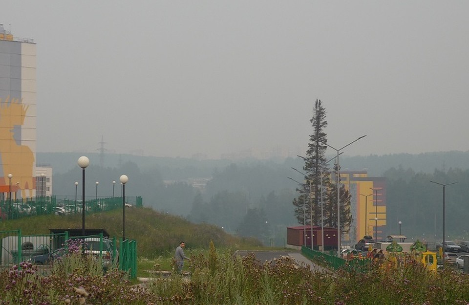 Вид на Томск с Зеленых горок. Фото: Олег Петров
