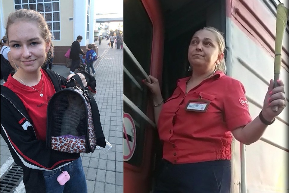Проводница поезда Хабаровск - Владивосток хотела высадить школьницу из-за щенка