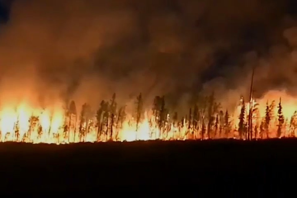 Лесные пожары в России охватили около трех миллионов гектаров. Фото: скрин с видео