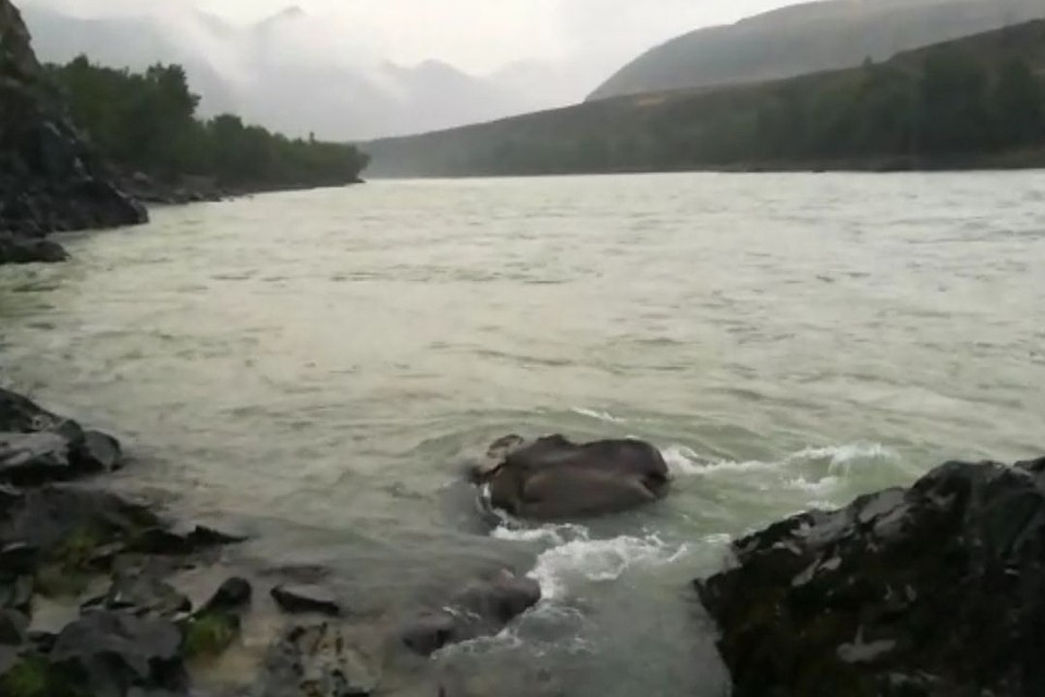 Тело ребенка нашел под камнем рыбак.