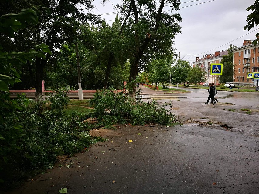 Сегодня по Волгограду подобную картину можно увидеть на каждой улице.