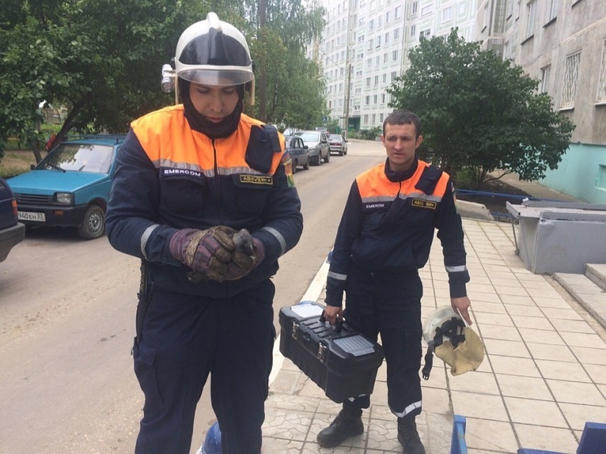 Фото предоставлено ГУ МЧС по Владимирской области