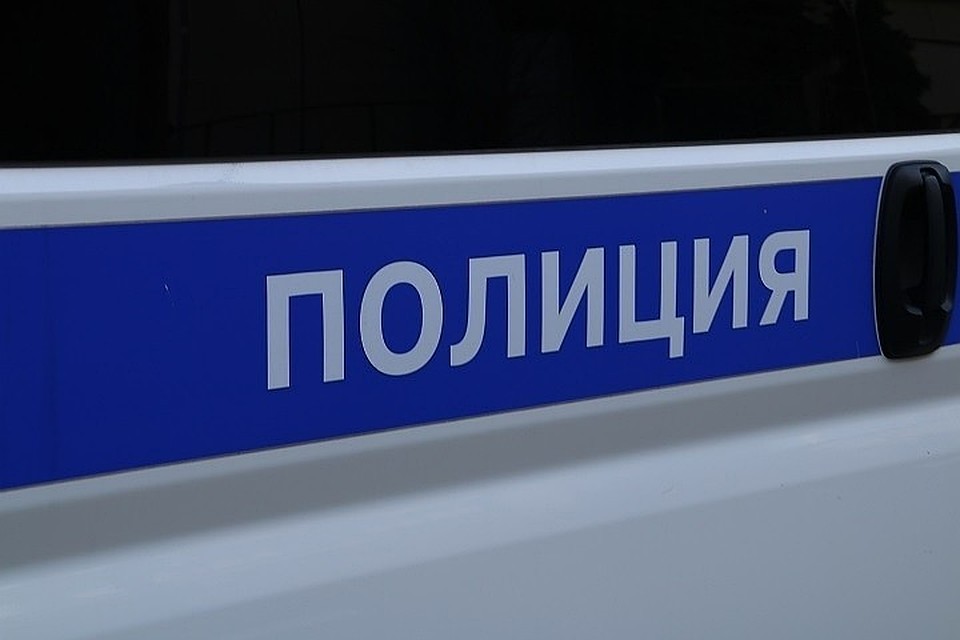 Мужчине грозит до шести лет лишения свободы