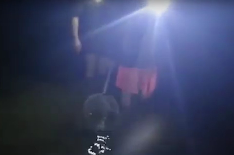 ФОТО: скрин с видео.