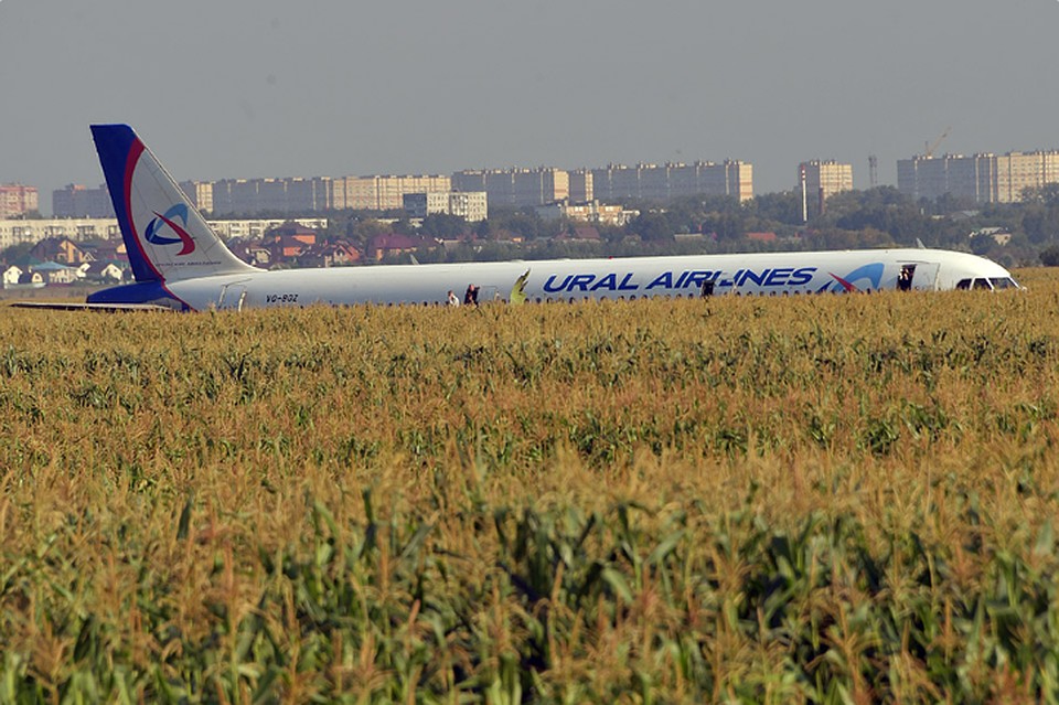 Глава Росавиации: решение пилотов Airbus А321 «Уральских авиалиний» сесть на поле было единственно верным
