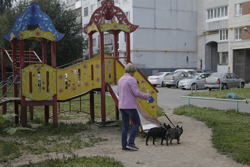 Гуляют все, а содержать одному.