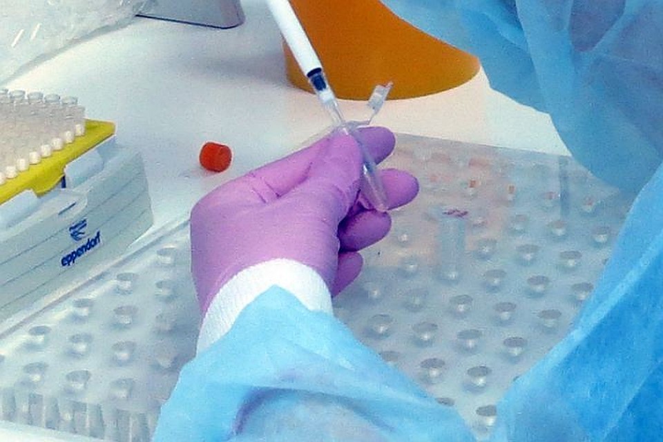 Тюменские врачи применяют в работе «живой» инструмент