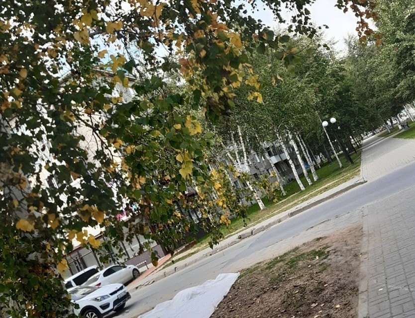 Жителей Урая приглашают поучаствовать в проектировании облика города. Фото из группы "Это Урай, детка" в соцсети ВКонтакте