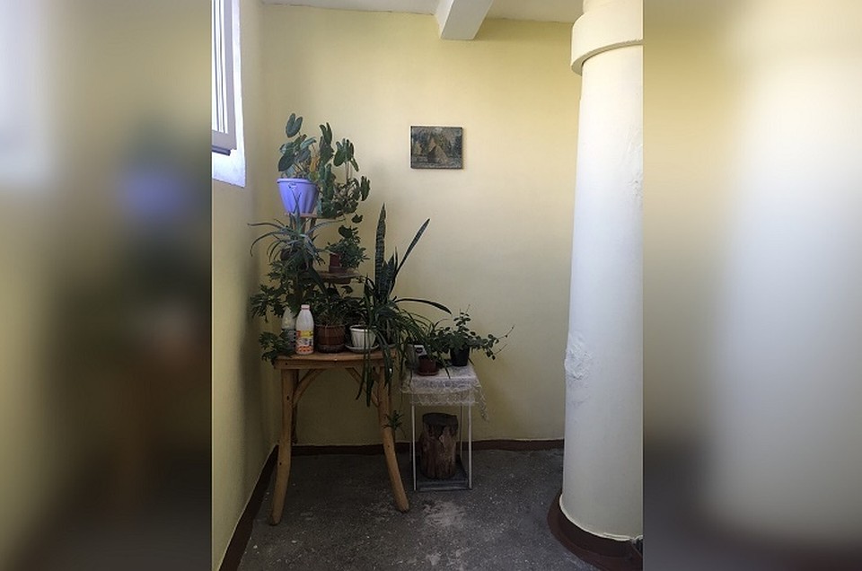Сибирячка покрасила все стены в своем подъезде. Фото: Марина Мезина