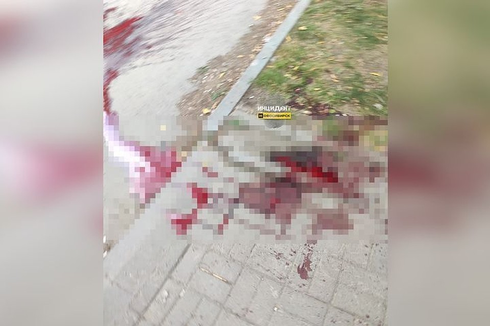 Новосибирцы обнаружили во дворе жилого дома труп мужчины. Фото: "Инцидент Новосибирск"