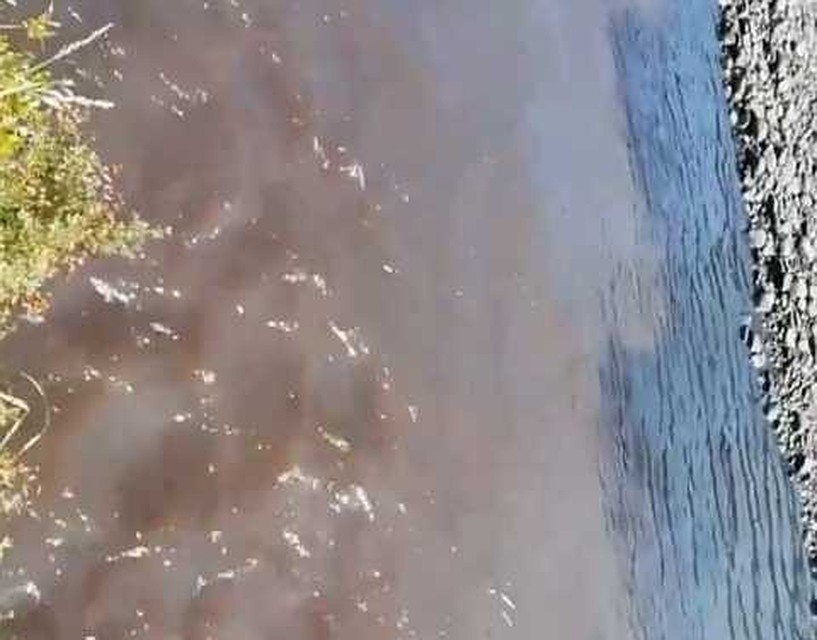 Госинспекторы отобрали пробы воды для проведения экологической экспертизы.