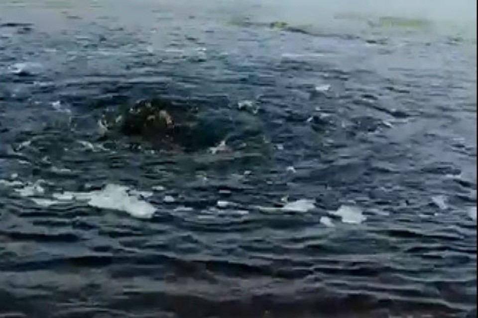 Черные фонтаны бьют со дна Волги под Балахной. ФОТО: Сергей Марин.