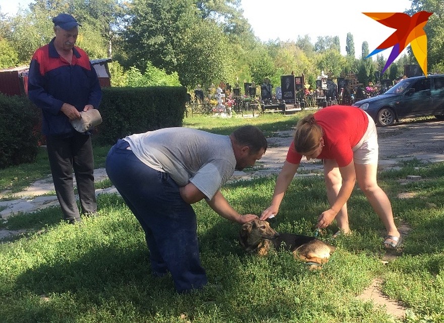 Все каждом районе города действует своя группа специалистов.