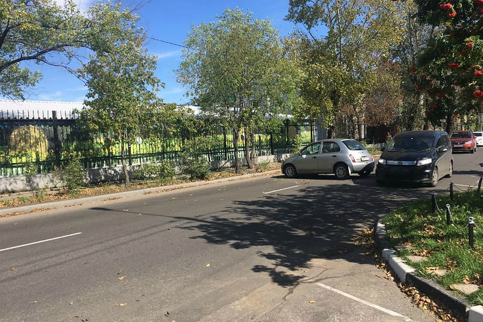 Автолюбительница врезалась в дерево в центре Хабаровска